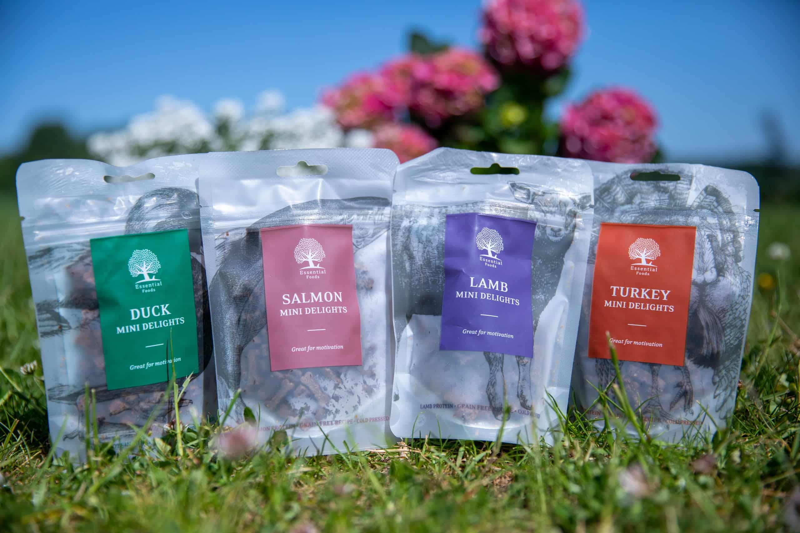 Treeningmaius koertele Essential lambaliha mini maius 100 g - KOERAD