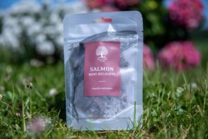 Treeningmaius koertele - Essential lõhe mini maius 100 g