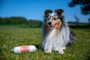 Kanaliha vorst-pate 400g