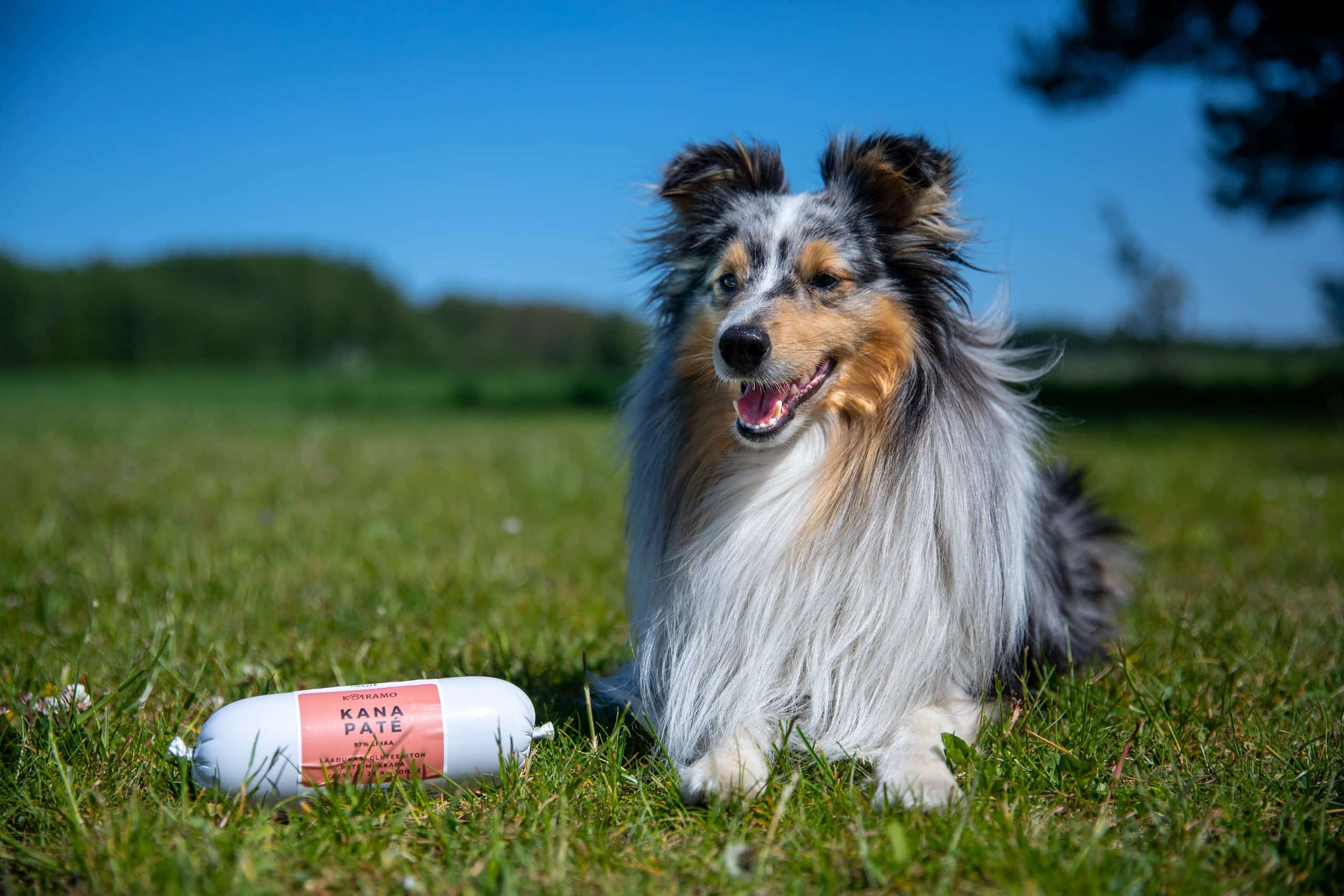 Kanaliha vorst-pate 400g