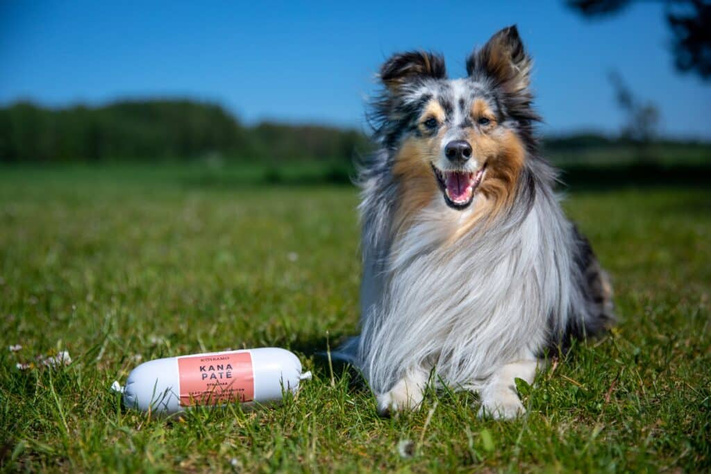 Kanaliha vorst-pate 400g