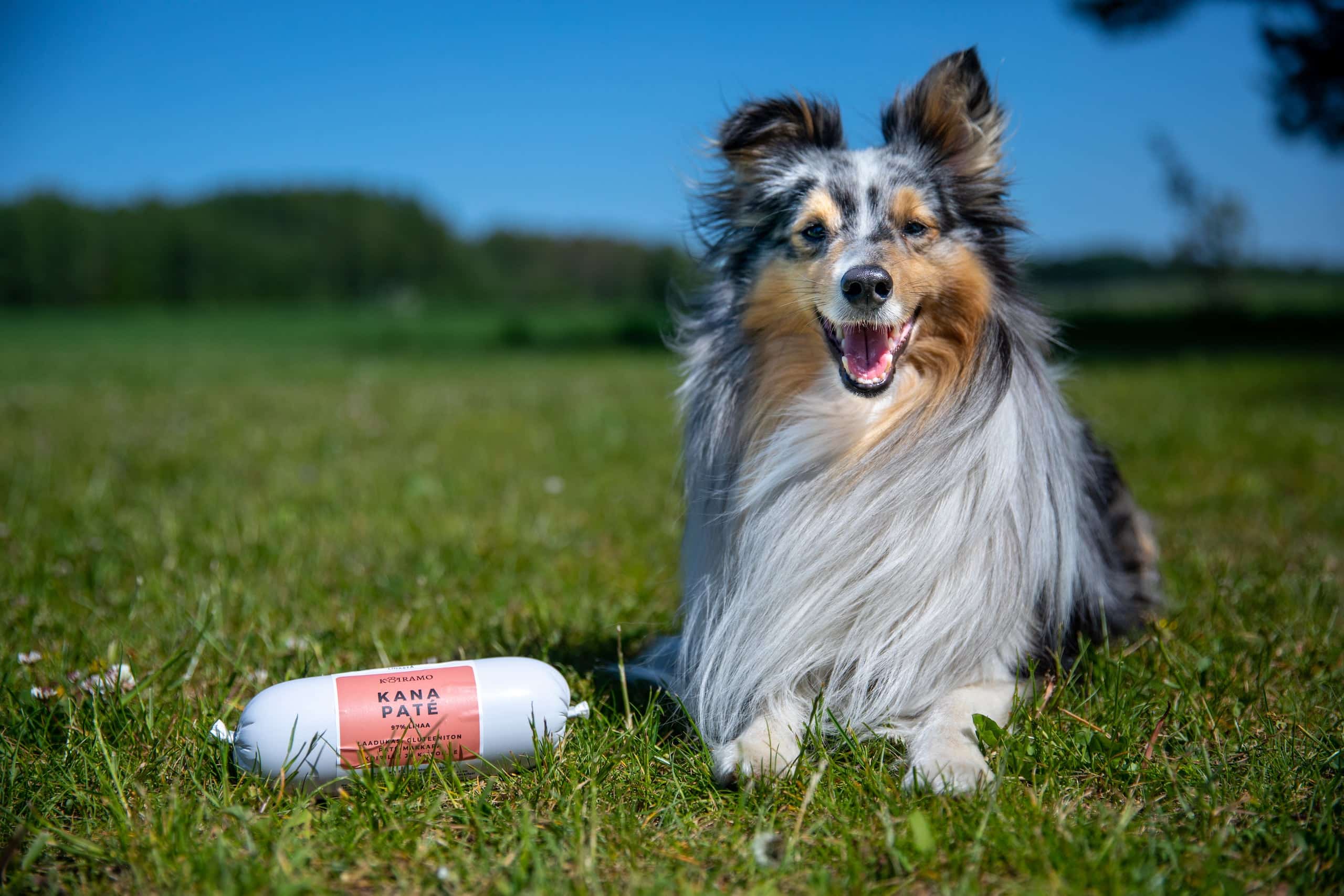 Kanaliha vorst-pate 400g