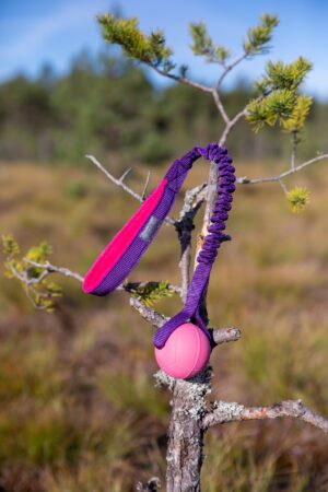 Mänguasi "Hoko" pall-kõva