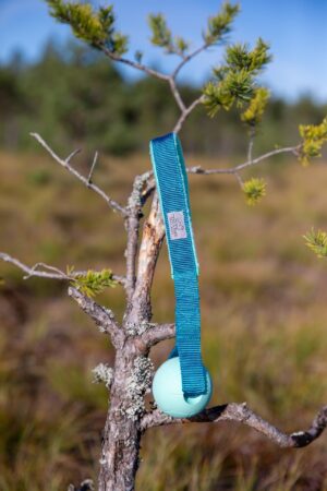 Mänguasi "Hoko" pall-pehme