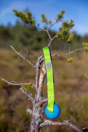 Mänguasi "Hoko" pall-kõva