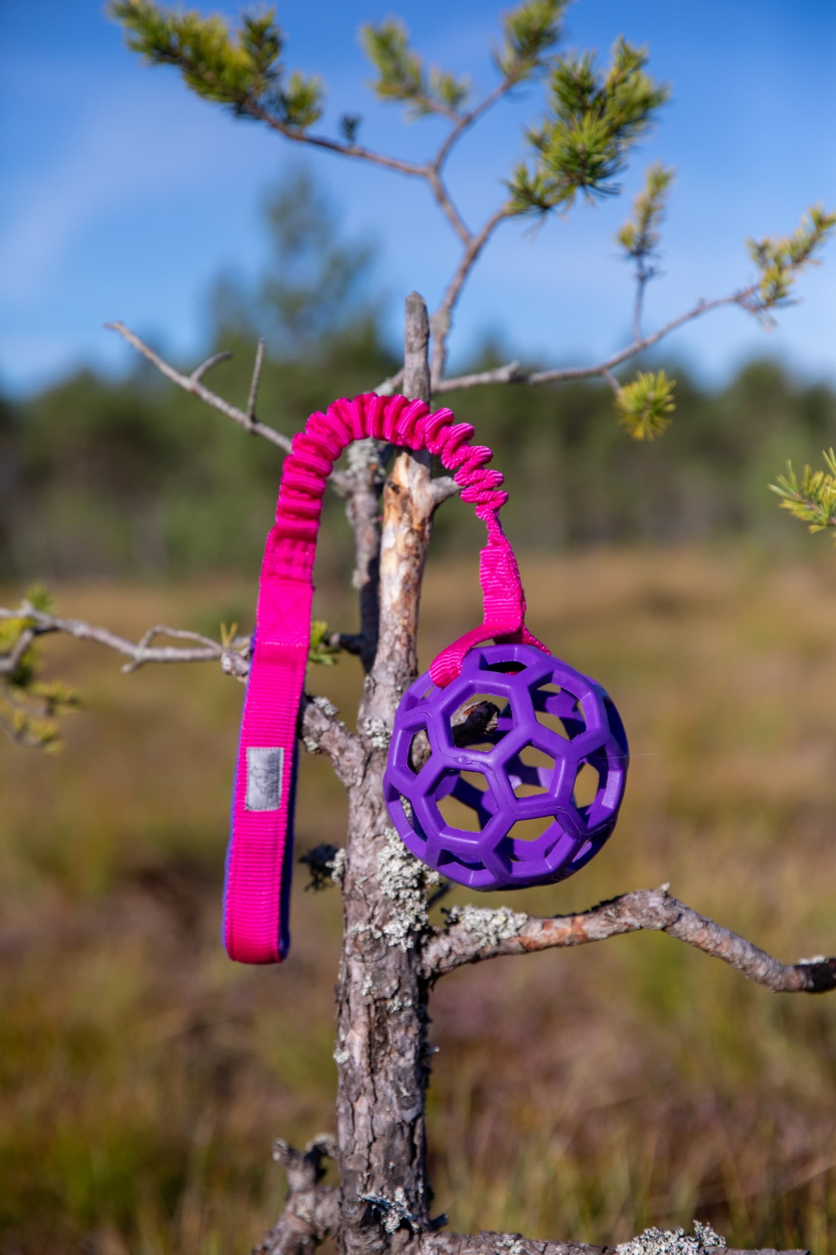 JW mänguasi pingutuskummiga sõrestikpall S