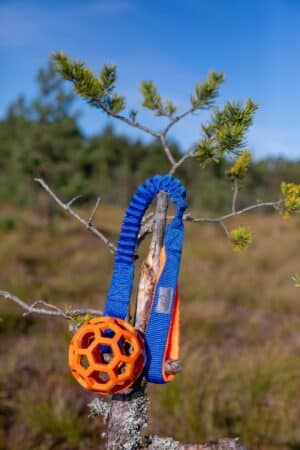 JW mänguasi pingutuskummiga sõrestikpall M