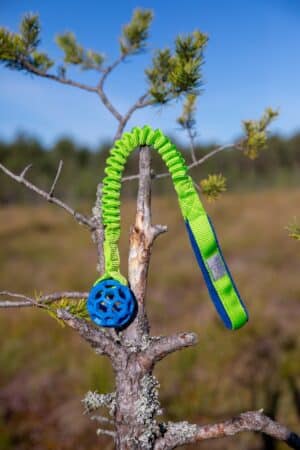 JW Hol-ee pingutuskummiga sõrestikpall XS