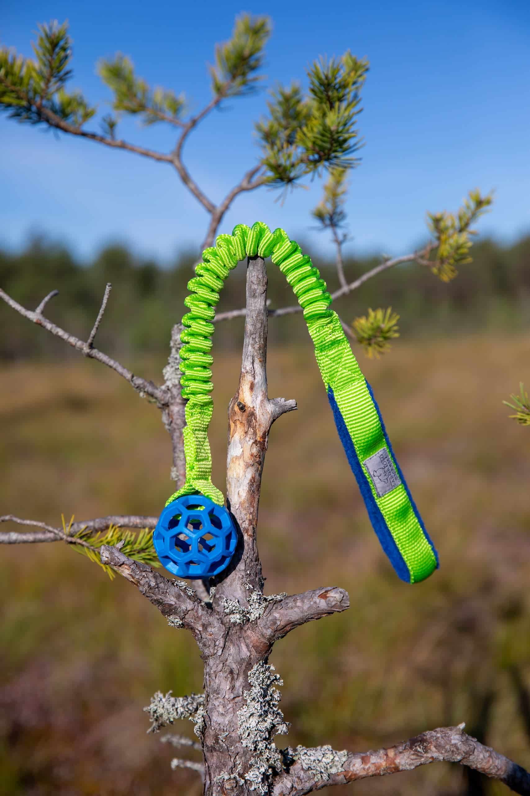 JW Hol-ee pingutuskummiga sõrestikpall XS