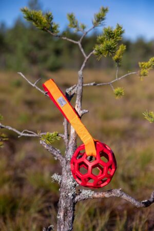 JW Hol-ee sõrestikpalliga mänguasi S