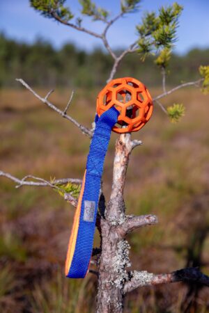 JW Hol-ee sõrestikpalliga mänguasi M