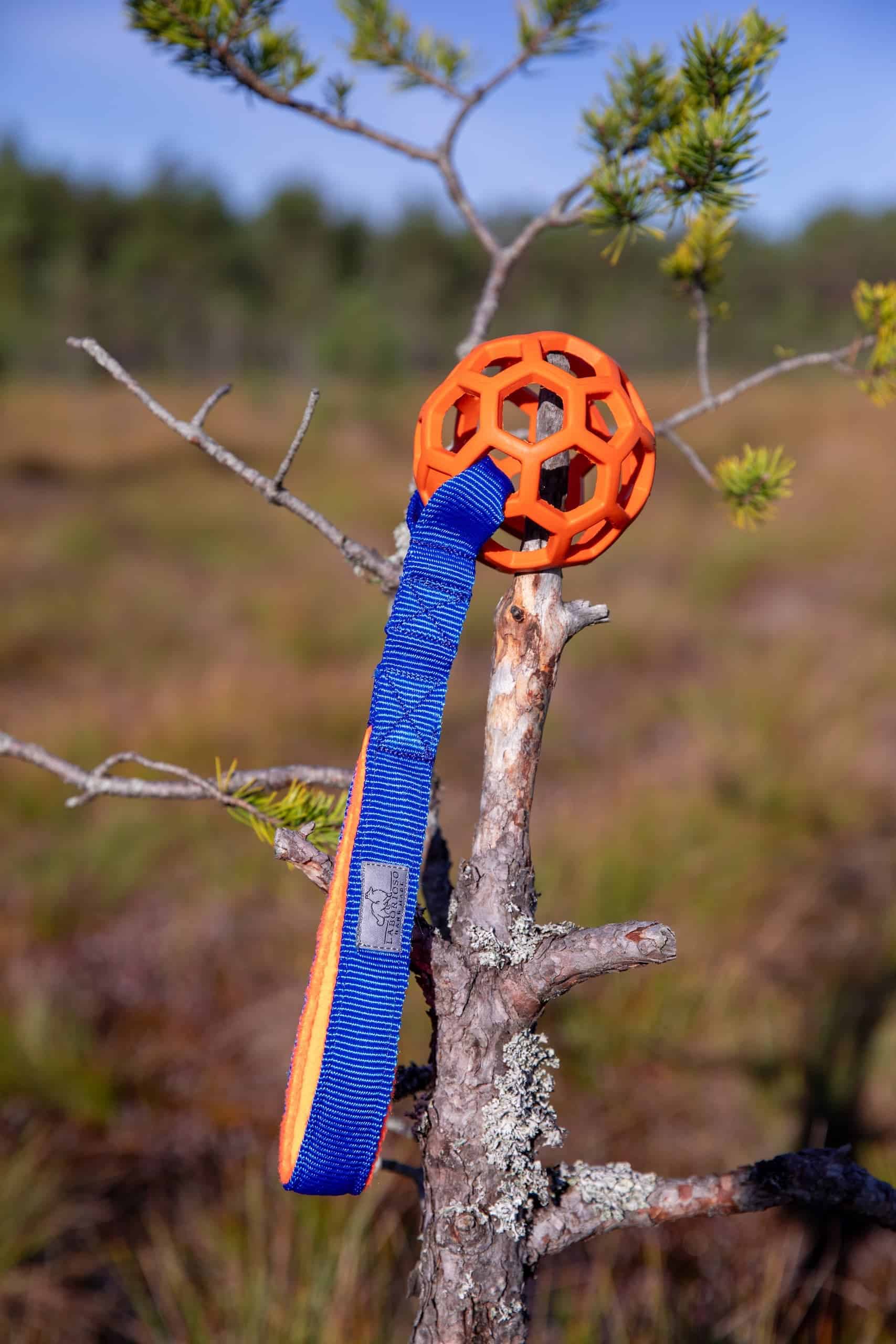 JW Hol-ee sõrestikpalliga mänguasi M