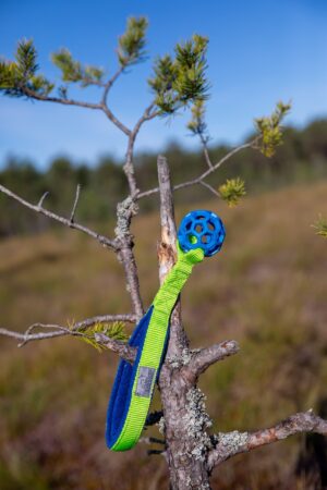 JW Hol-ee sõrestikpalliga mänguasi XS